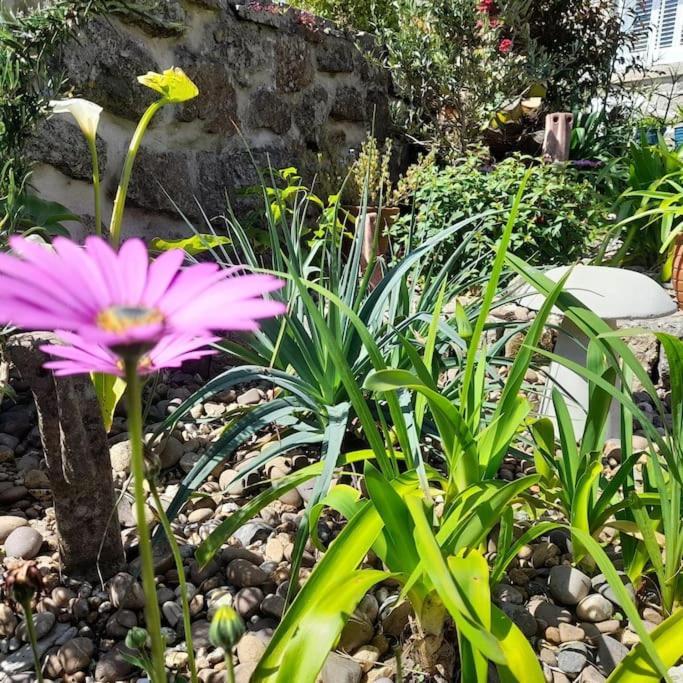 Corvus - Beautiful Cottage Half A Mile From Mousehole بينزانس المظهر الخارجي الصورة