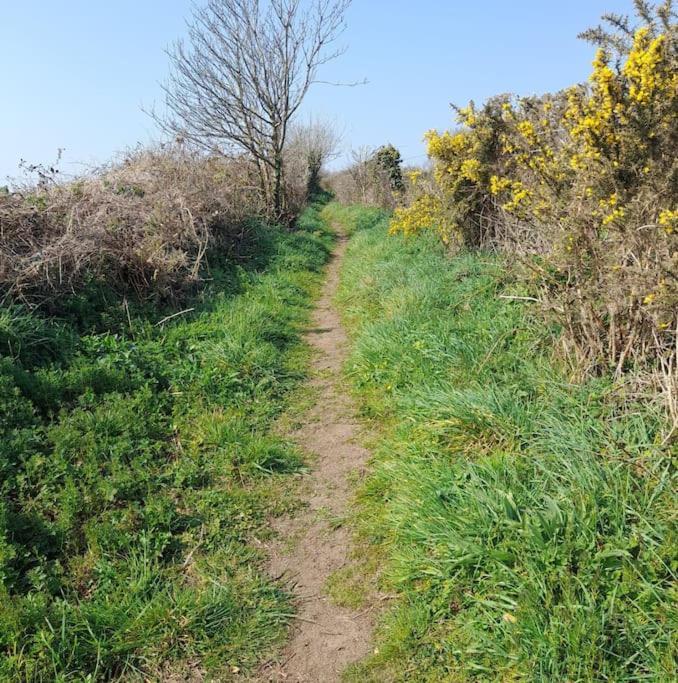 Corvus - Beautiful Cottage Half A Mile From Mousehole بينزانس المظهر الخارجي الصورة