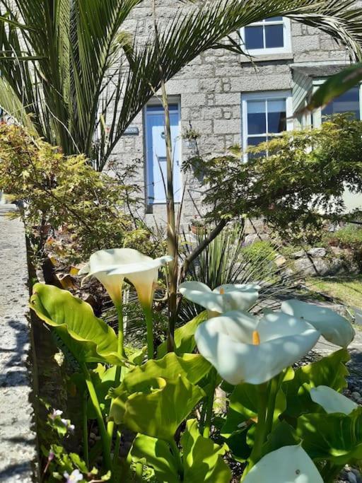 Corvus - Beautiful Cottage Half A Mile From Mousehole بينزانس المظهر الخارجي الصورة