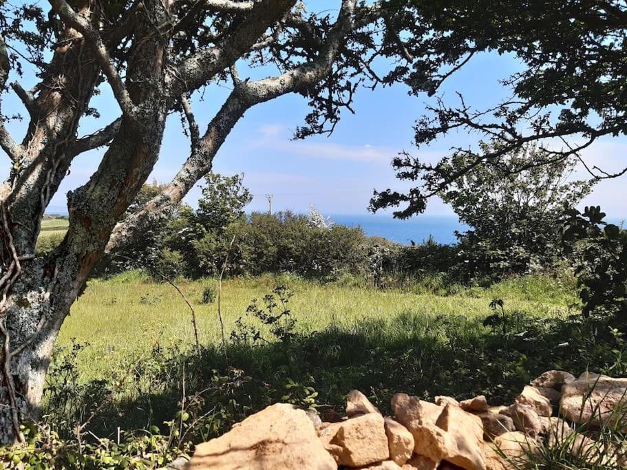 Corvus - Beautiful Cottage Half A Mile From Mousehole بينزانس المظهر الخارجي الصورة