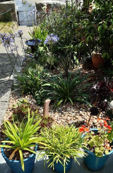 Corvus - Beautiful Cottage Half A Mile From Mousehole بينزانس المظهر الخارجي الصورة