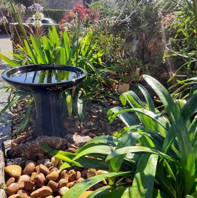 Corvus - Beautiful Cottage Half A Mile From Mousehole بينزانس المظهر الخارجي الصورة
