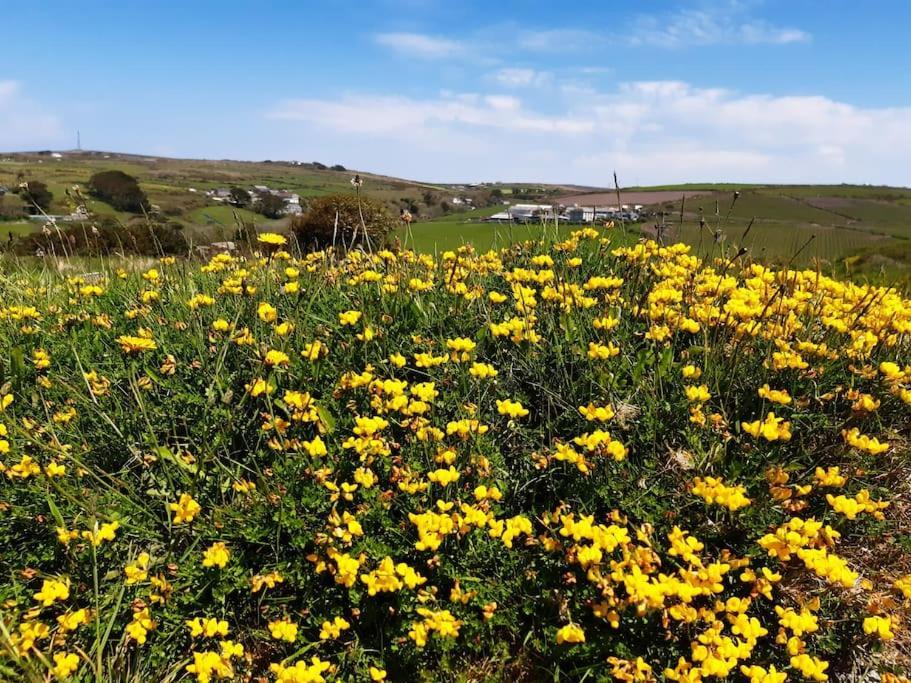 Corvus - Beautiful Cottage Half A Mile From Mousehole بينزانس المظهر الخارجي الصورة